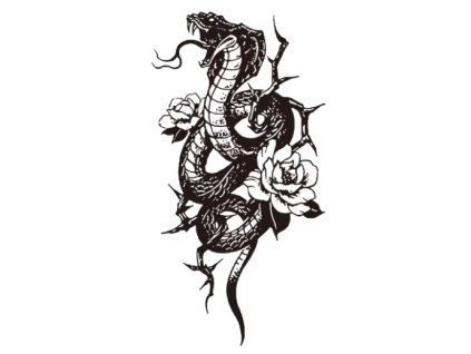 Hrozebná krása – dočasné tetování INked