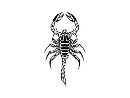 Jedovatý ochránce – dočasné tetování INked