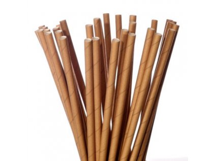 paper straws 500x500