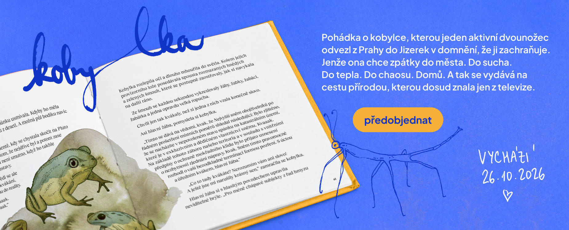 martina bechyňová kobylka