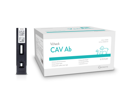 CAV Ab EN KR