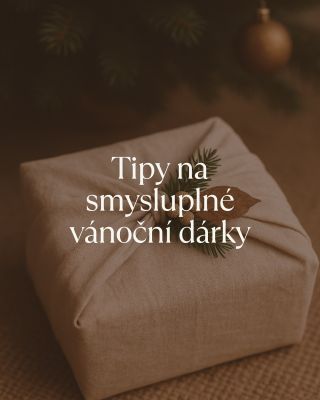 🎁 Vánoce se blíží a všichni víme, co to znamená… Ano, zase budeme kupovat věci. A protože svět už má dost nepraktických...