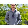 PR14005BI27602 910930 Swings Racing Hoodie Grey IMD