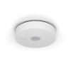 SPD white.8838735f