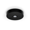 SPD anthracite.2ae175ad