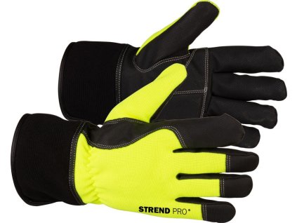 TR3134284_STREND PRO Zimní pracovní rukavice Gratus Winter vel.10, zateplené, voděodolné, 3M izolace