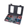 MA8819258_EXTOL PREMIUM šroubováky a hroty sada 47ks , 1/4" hroty a 4mm mini hroty, CrV 8819258