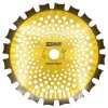 H/P-2/G_Nůž křovinořezu (kotouč) (D255*25.4) 40?  (oboustranný) (gold) PROCRAFT