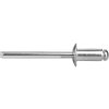 MA8813832_EXTOL PREMIUM nýty trhací hliníkové sada 1000ks, O 2,4x8mm plochá hlava 8813832