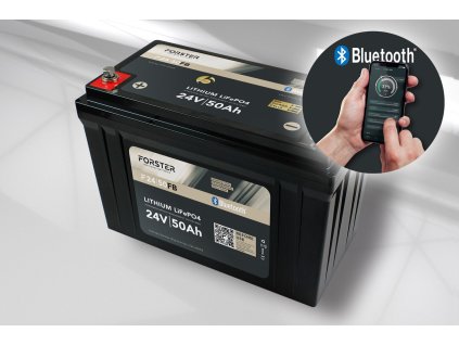 256v lithium 50ah lithium fishing batterie bms smart bluetooh ip67