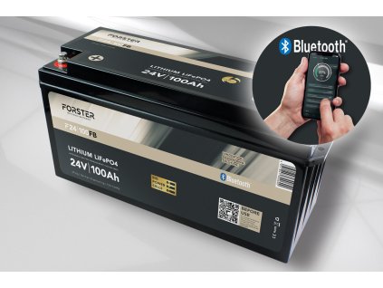 256v lithium 100ah lithium fishing batterie bms smart bluetooh ip67