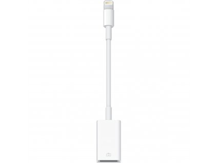 Apple Lightning to USB Adapter - Bulk