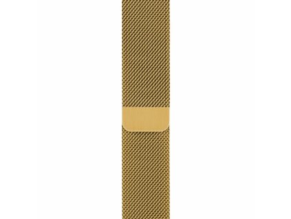 Innocent Steel Loop Apple Watch Band 42/44/45/49mm - Yellow Gold