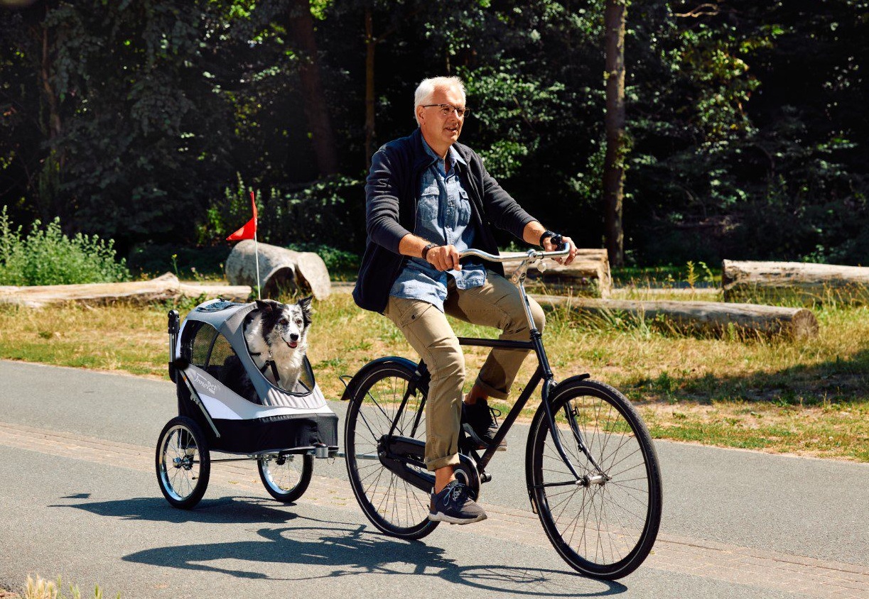 Innopet Sporty Dog