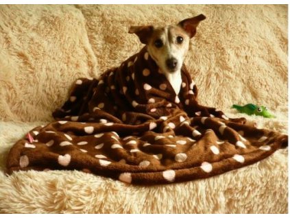 Plyšová hnědá deka - vzor světle růžový puntík