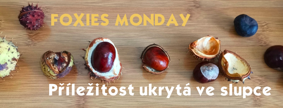 Foxies Monday: Příležitost ukrytá ve slupce