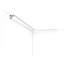C250 cornice moulding