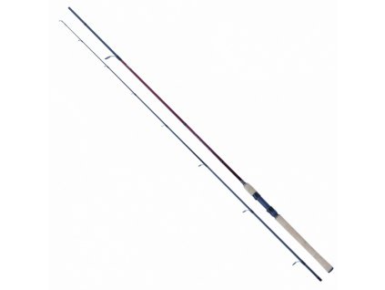 Robinson Firebird Pike Spin 2,70m 10-30g 2díly