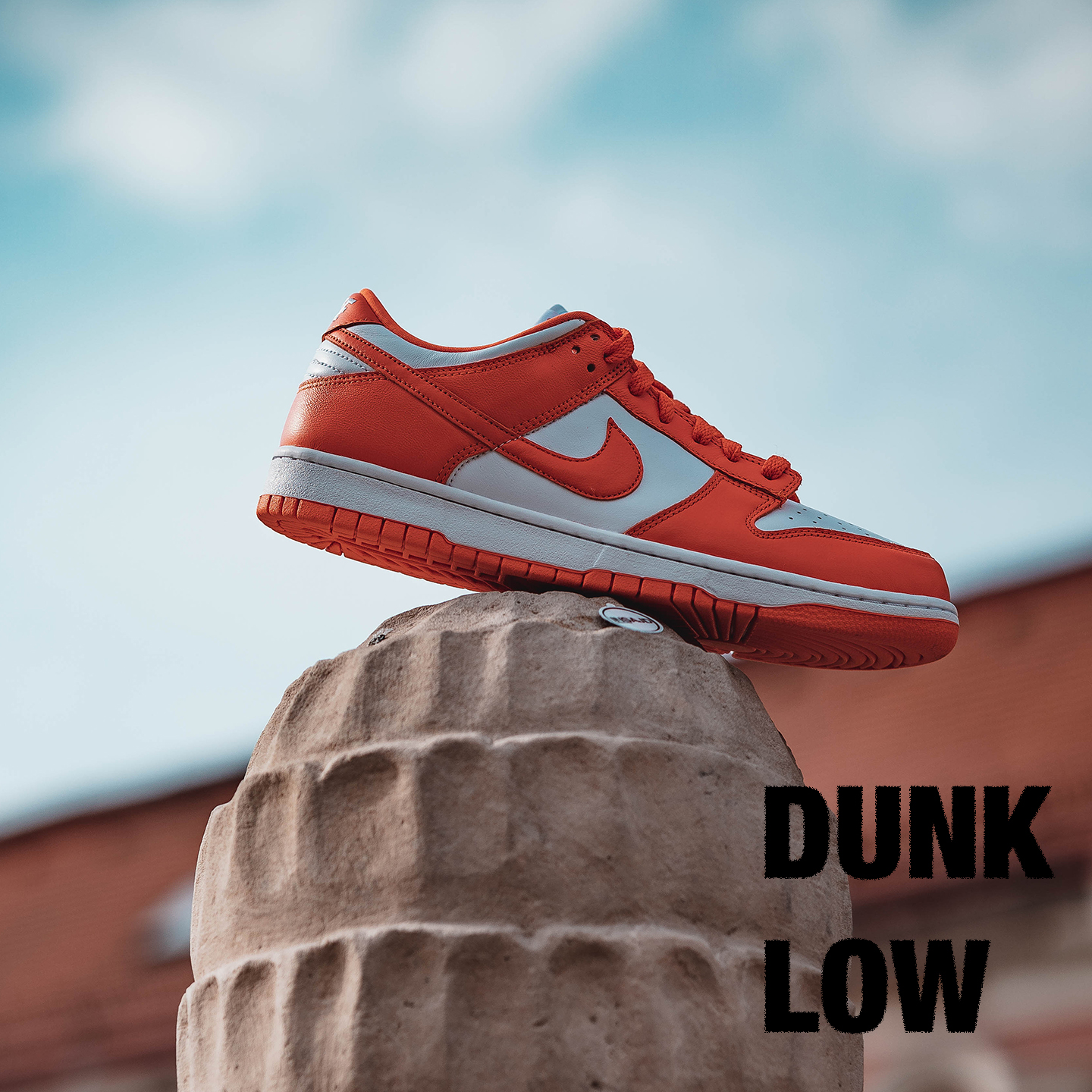 Nike Dunk