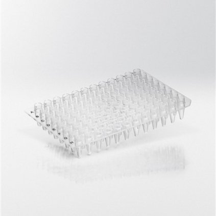 PCR destička 96 x 0,2 ml, transparentní, neorámovaná (karton 100 ks)