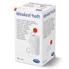 Idealast-haft