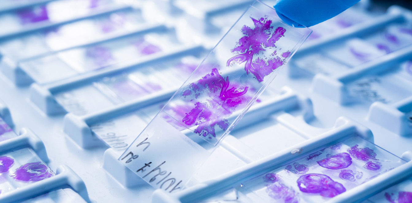 Príprava histologických preparátov a histologické atlasy