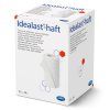 Idealast-haft