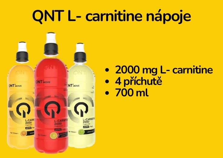 QNT l-carnitin