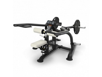 PLS 0900 TRICEPS EXTENSION with weights 960 1