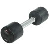 Fixed dumbbells (1 - 50 kg)