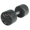 Fixed dumbbells (1 - 50 kg)