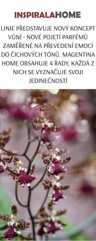 Textový popis Inspirala home - s odkazem