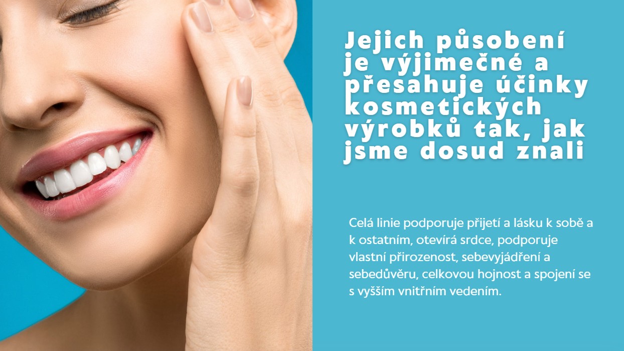 úvod2