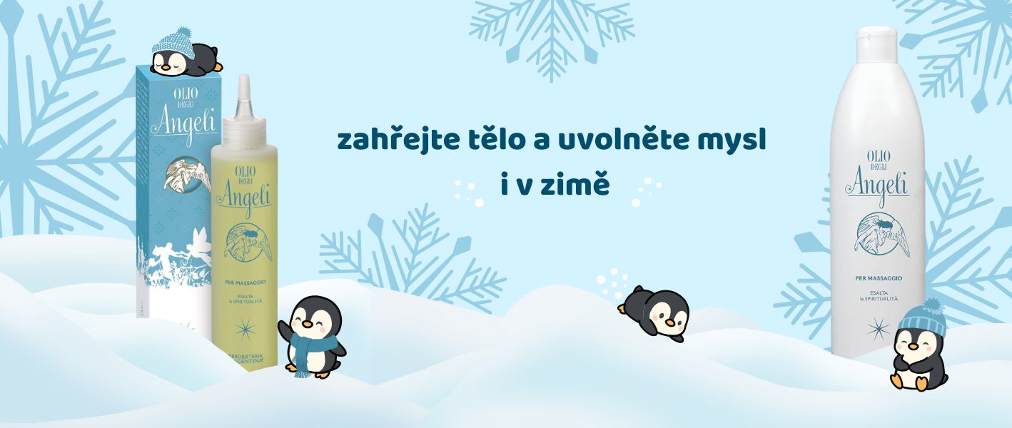 zimní banner andělé