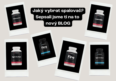 Jaký spalovač si vybrat