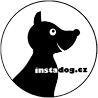 Instadog