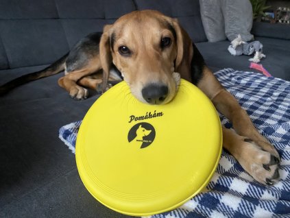 Frisbee