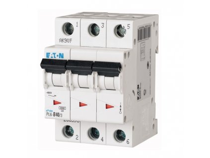 Jistič PL6-B40/3