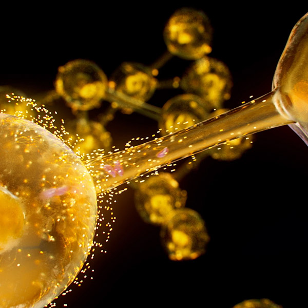 Bunková solidarita: Inovácia pre zachovanie mladistvosti aj tej najnáročnejšej pleti