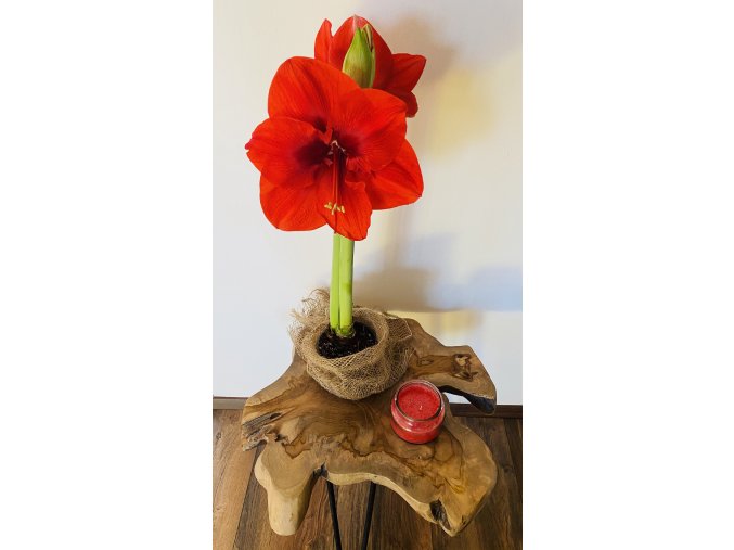 Stolek teak 41