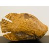teak ryba
