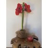 Stolek teak 41