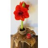 Stolek teak 41