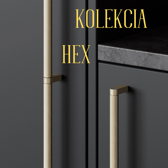 Úvod_hex_sk_I