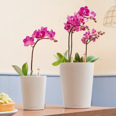 Stolové kvetináče Lechuza