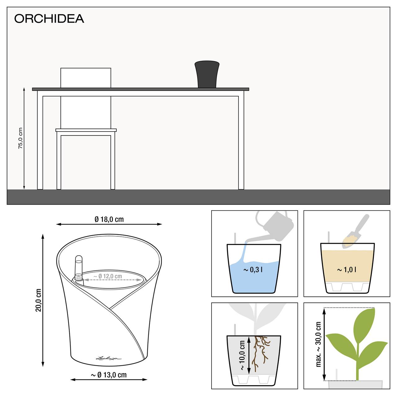 le_orchidea_product_addi_nz