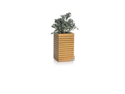 4008789167712 PAL35 high Natural Wood Euca 1