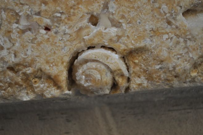 Víte, proč milujeme práci s kamenem? Protože každý jeho kus je naprostý originál – stejně jako každý člověk. ✨ Každá...