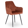 25666 stolicka bresso rude velurova