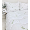Letný set paplón a vankúš Aloe Vera Green